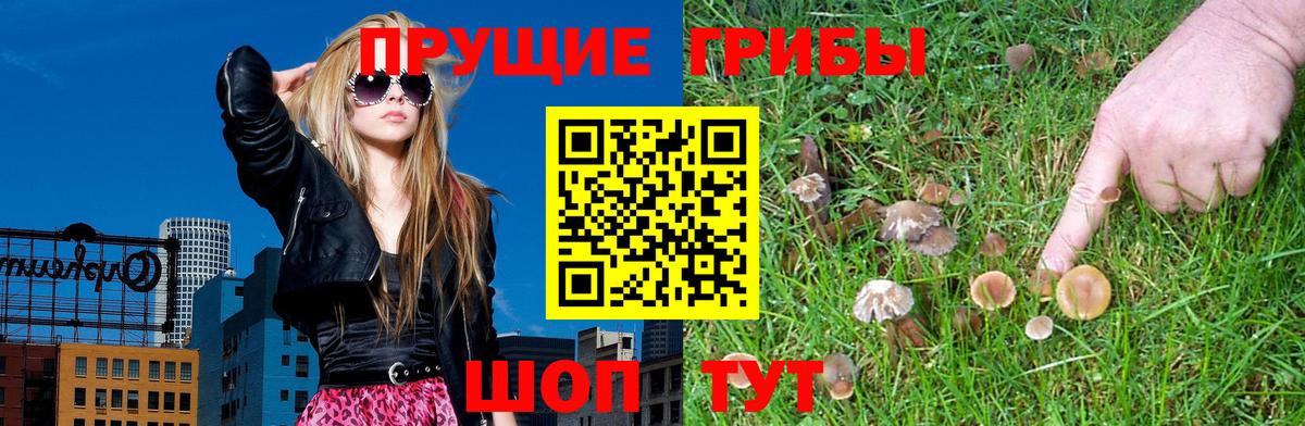 Кимры  Галлюциногенные грибы Psilocybe  Галлюциногенные грибы GOLDEN TEACHER  Вход с VPN 