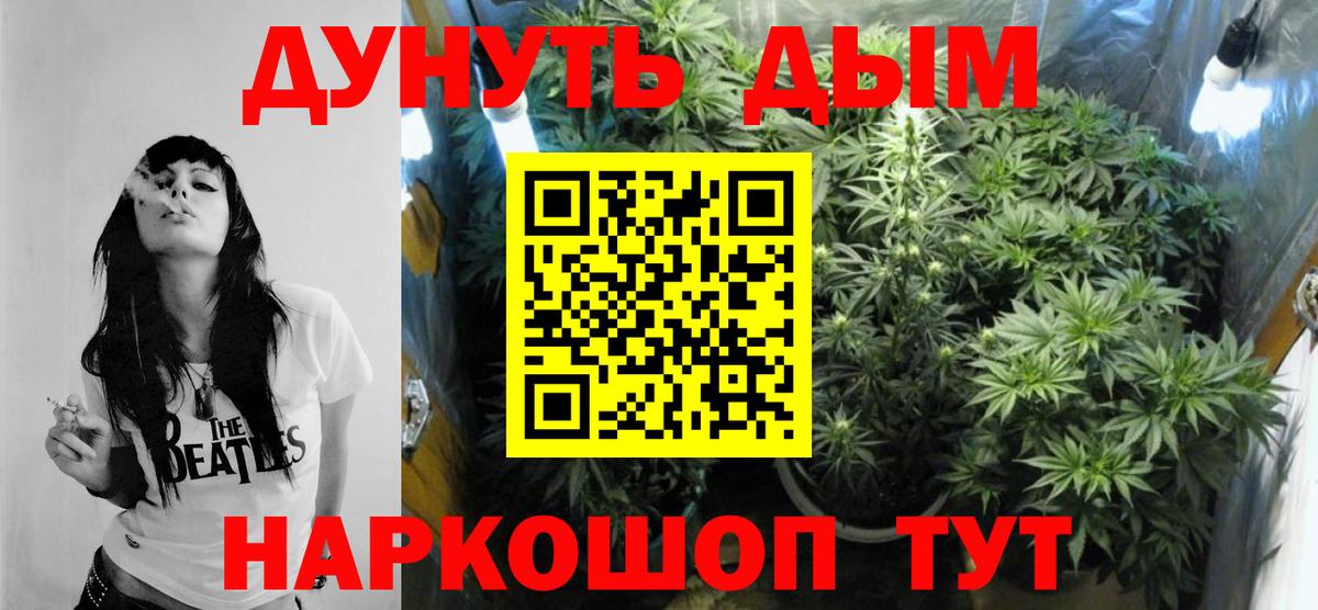 Каннабис сатива  Вход с VPN  Бошки марихуана марихуана  Кимры  Канабис OG Kush  МАРИХУАНА гибрид 